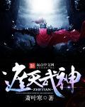 遮天之武