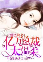 甜蜜婚宠总裁超过火