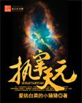 执宰天下