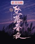 坠落春夜讲什么