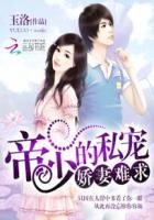 帝少的私宠甜妻全本