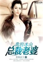 我的冰山总裁老婆杨心怡全集听书在线听