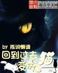 回到过去变成猫有后续吗