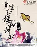 重生红楼完结