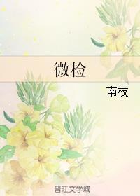 微检证书