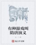 单机游戏隋唐演义