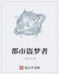 盗梦都市说明书
