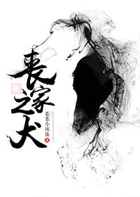 丧家之犬指的是谁的故事