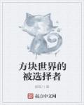 方块里的世界
