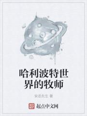 哈利波特各个教授