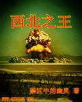 西北王和西北什么关系