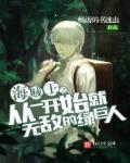 海贼王同人开局无敌