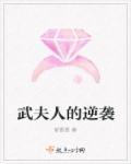 武夫人效果