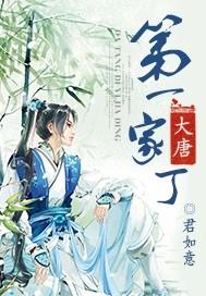 大唐第一家丁有声免费