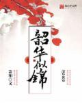 韶华似水难易