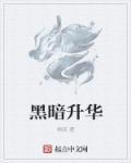 黑暗升华器是怎么制作的