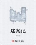 迷案记第一季在线