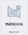 鹦鹉花园出租