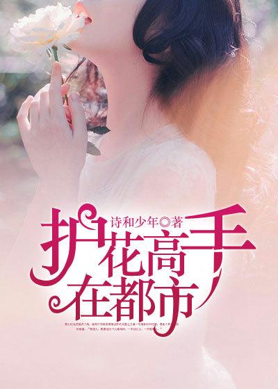 护花高手在都市女主