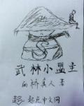 武林小盟主陈文杰全集