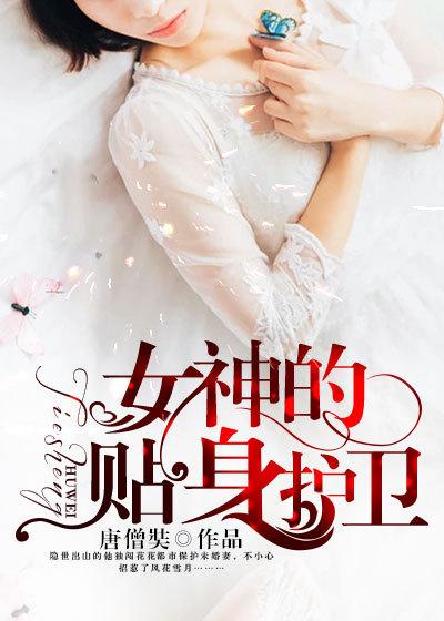 女神的贴身护卫肥茄子txt