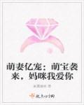 萌宝妈咪尽情宠