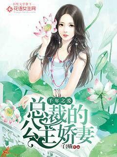 总裁的穿越公主