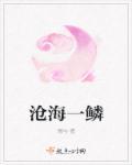 沧海一鳞三君子解正确三个数字