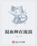 混血人种分布在哪里
