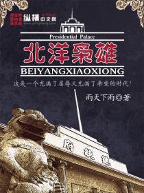 北洋军覆灭记2