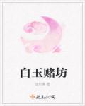 白玉堂攻略