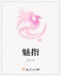 魅指智能锁是杂牌还是名牌