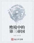 绝境中的第三帝国在线阅读
