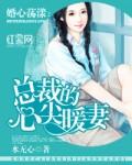 婚心荡漾总裁大人套路深免费阅读