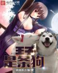 重生过去变成狗2未删减版全文阅读