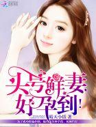 头号追妻令鲜妻休想逃全本免费阅读
