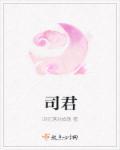 司君齐简介