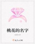 剩女黄金时代演员表