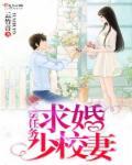 书名叫独家婚宠军少