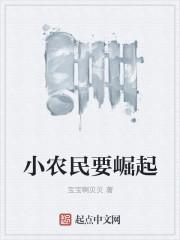 小农民升官