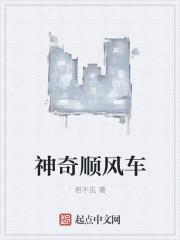 2020顺风车