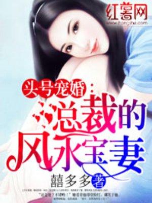 头号宠总裁的风水宝妻