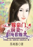 二嫁总裁前妻全文免费阅读
