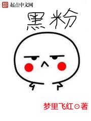 黑粉是什么意思