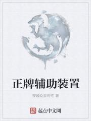辅助装置特点