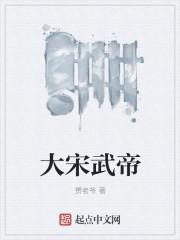 大宋武功