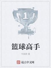 明星篮球高手