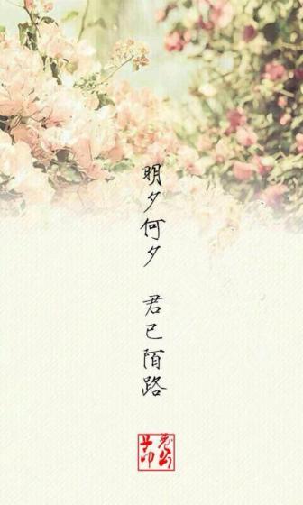 今夕何夕君已陌路txt