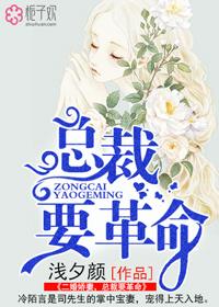 二婚总裁的心尖宠温暖