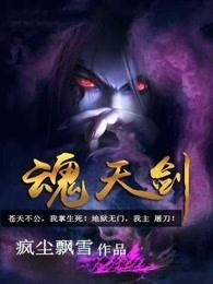 魂天剑免费阅读
